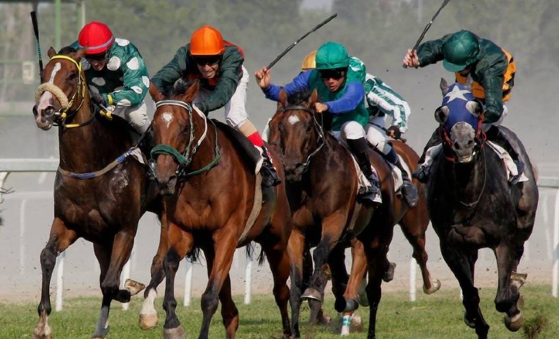 Horse Racing Betting Strategy